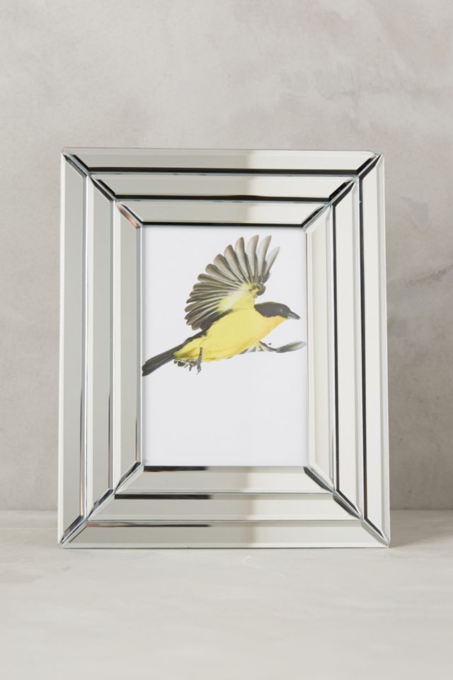 Beveled Mirrorglass Frame #1