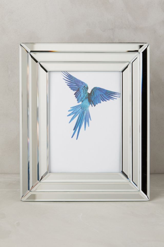 Beveled Mirrorglass Frame #2