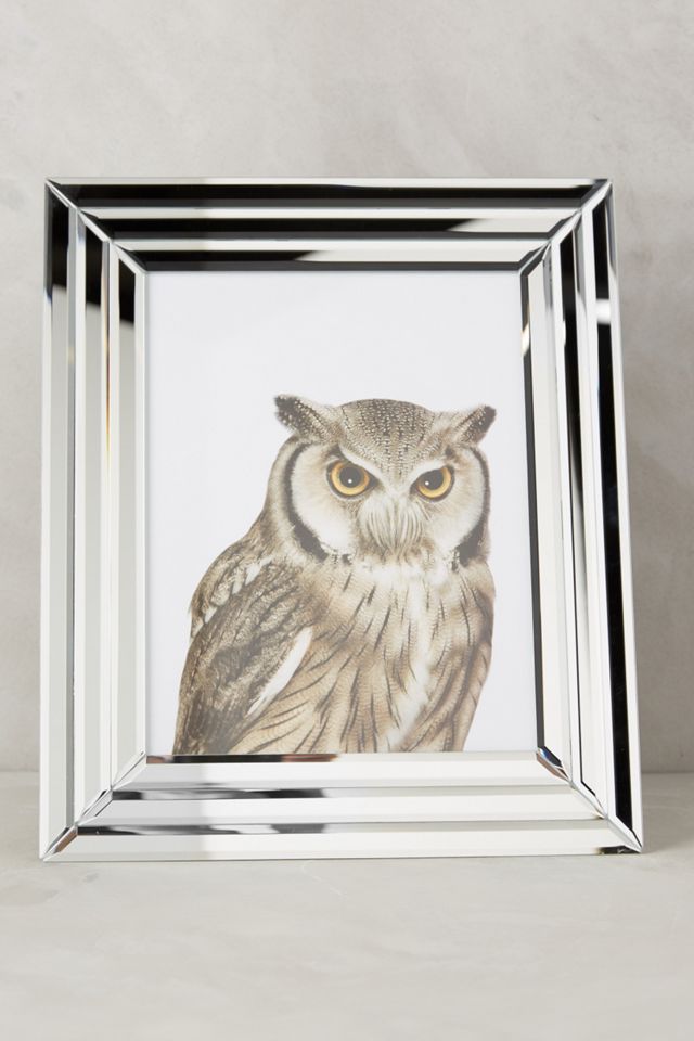 Beveled Mirrorglass Frame #3