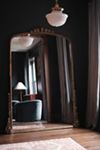 Gleaming Primrose Triptych Mirror