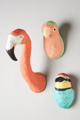 Tropical Bird Bust