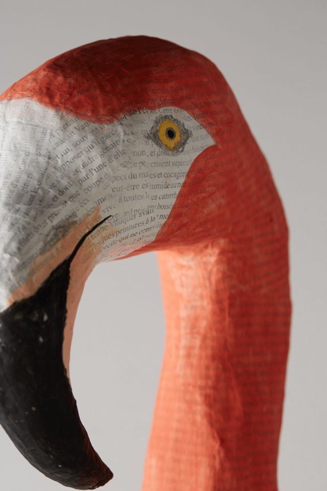Tropical Bird Bust #3