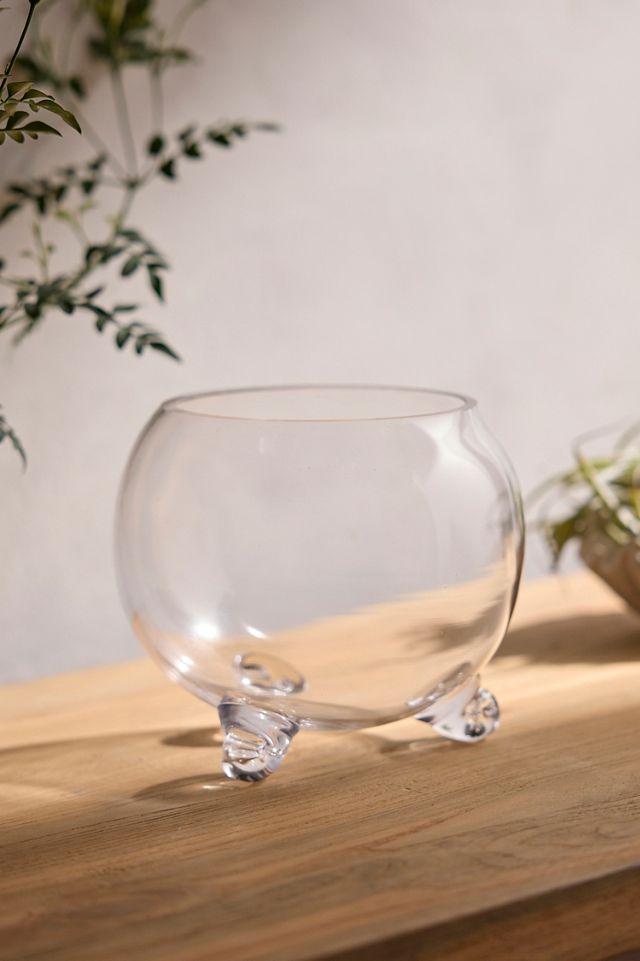 Elevated Fishbowl Terrarium #1