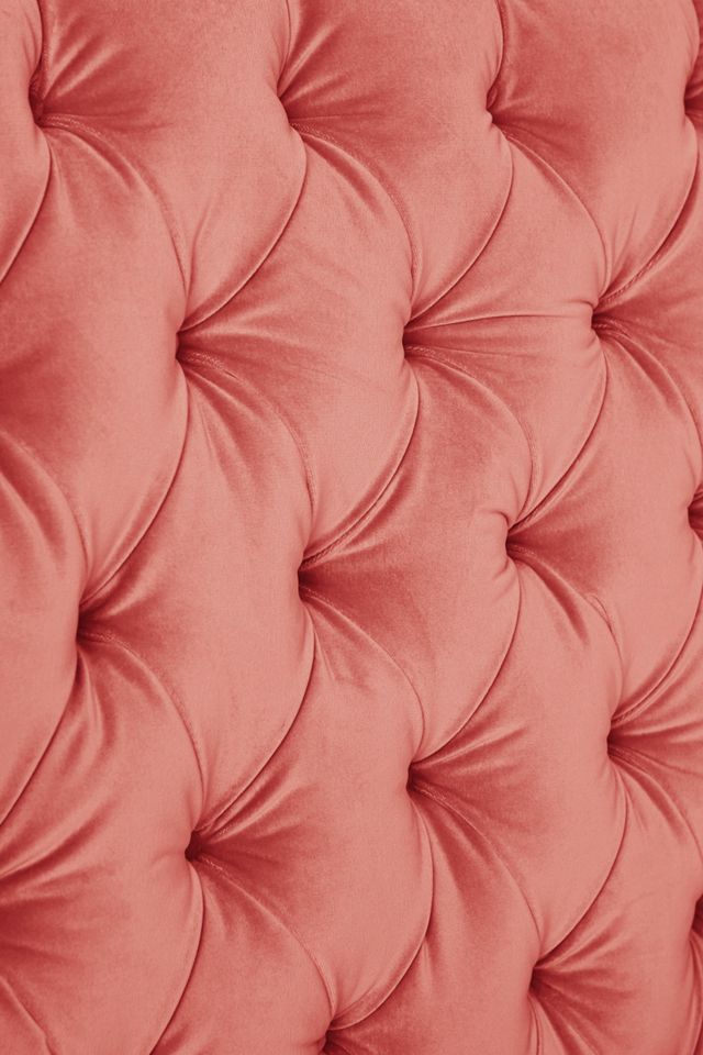 Velvet Tufted Wingback Bed #3