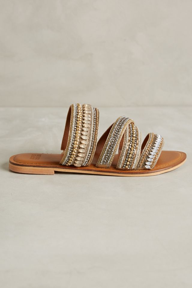 Jasper & Jeera Azille Slides #4