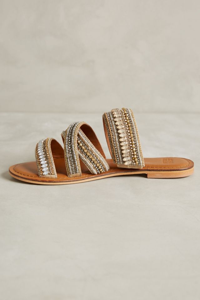 Jasper & Jeera Azille Slides #5