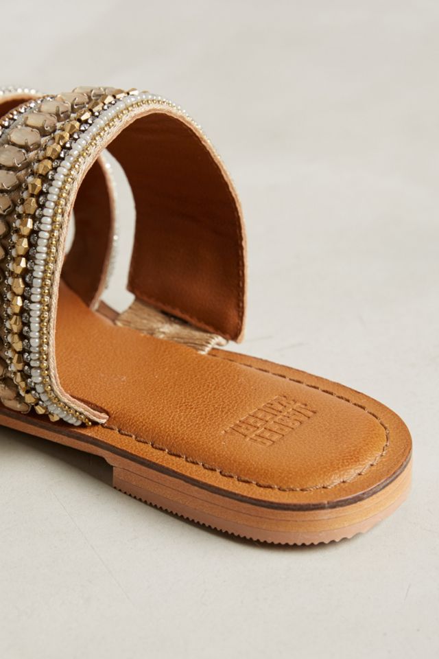 Jasper & Jeera Azille Slides #6