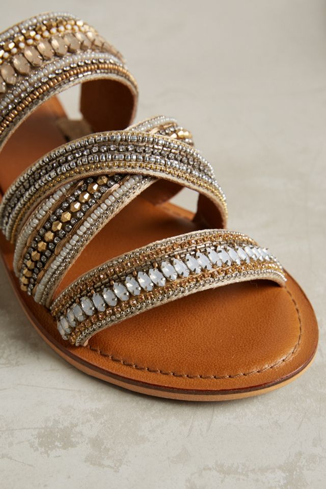 Jasper & Jeera Azille Slides #7