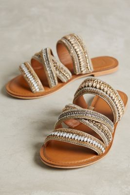 Jasper & Jeera Azille Slides