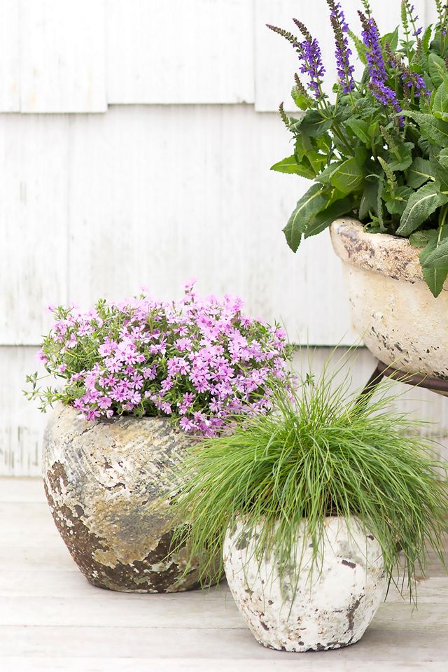 Barnacle Round Shoulder Pot #1