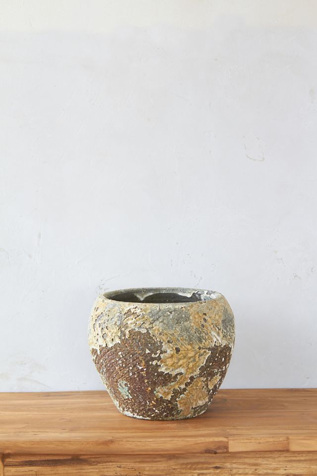 Barnacle Round Shoulder Pot #2