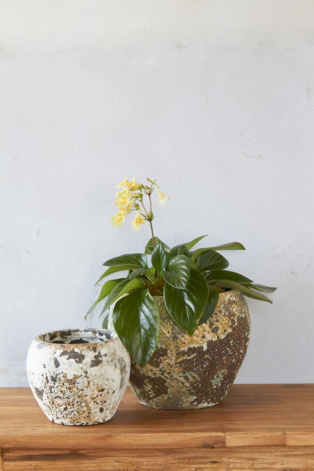 Barnacle Round Shoulder Pot #3