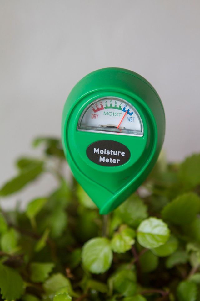 Moisture Meter #1