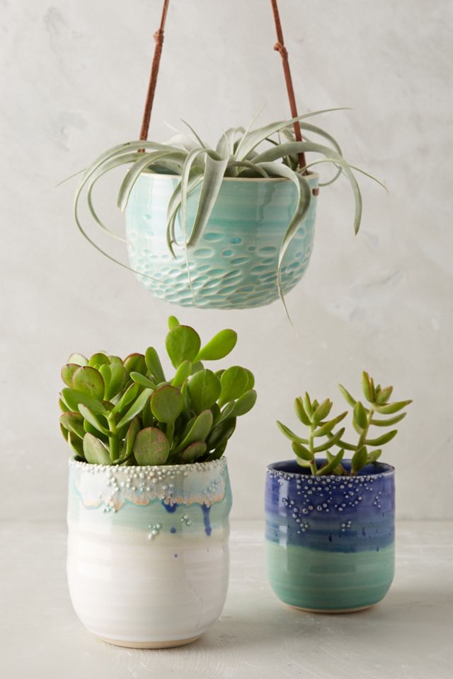 Sea Bubbles Hanging Planter #2