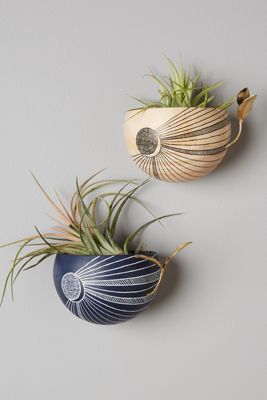 Crescent Moon Planter