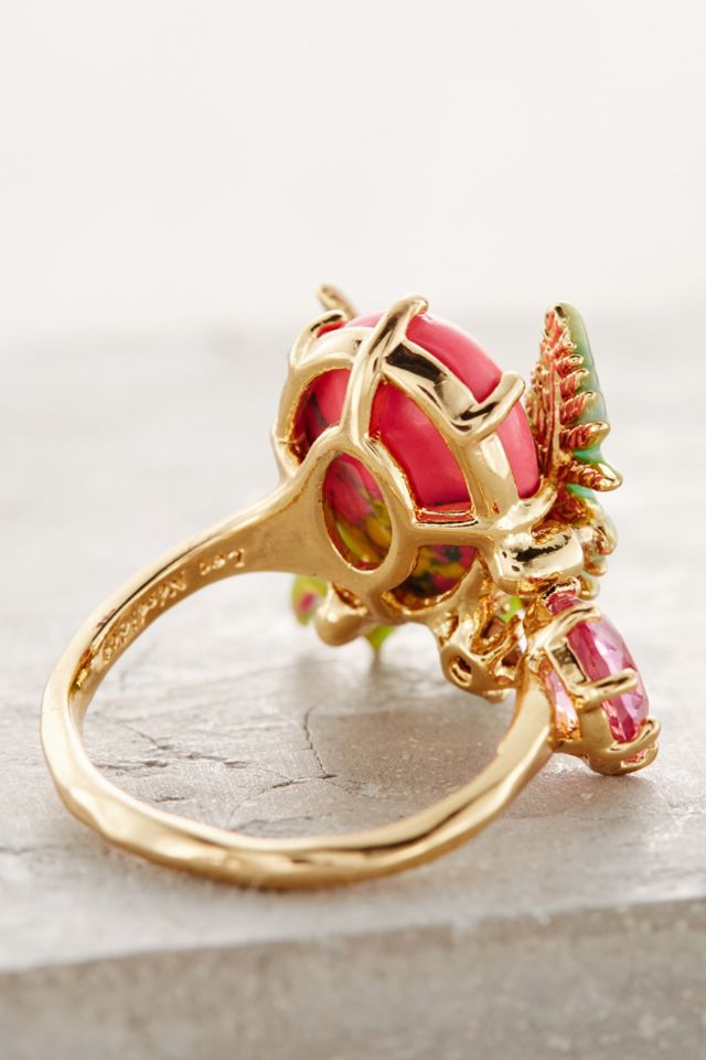 Subtropical Ring #1