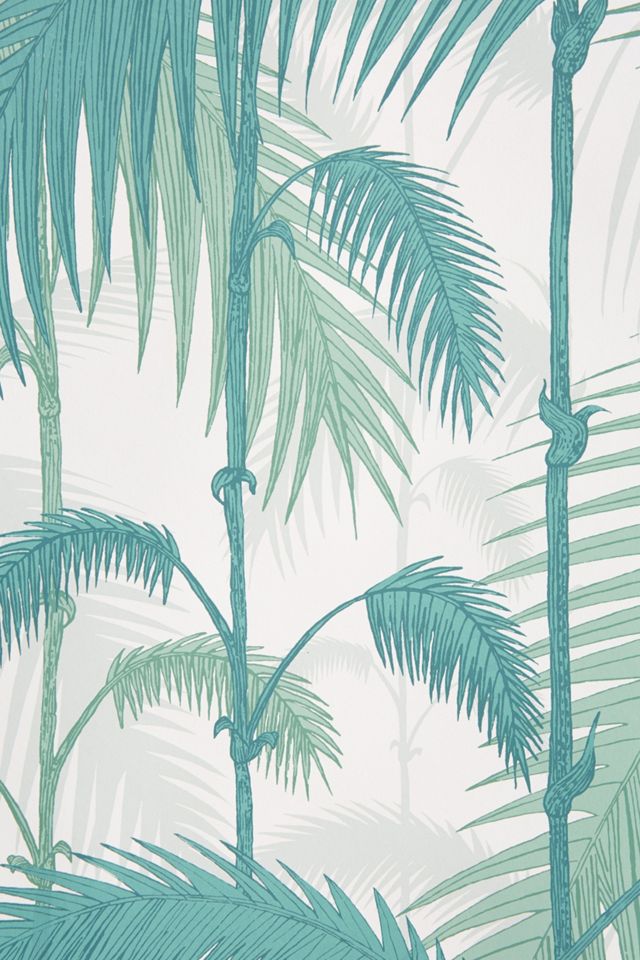 Fanned Fronds Wallpaper #4