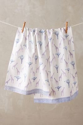 Roaming Dish Towel