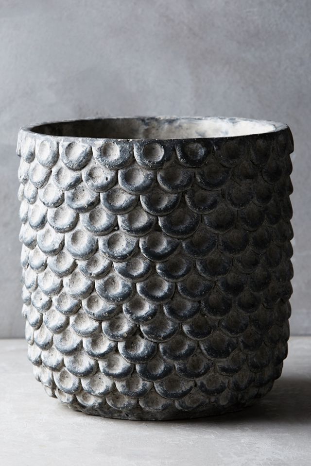 Scalloped Cement Pot #1
