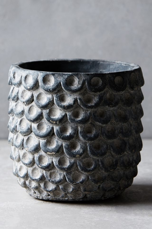 Scalloped Cement Pot #3