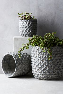Scalloped Cement Pot