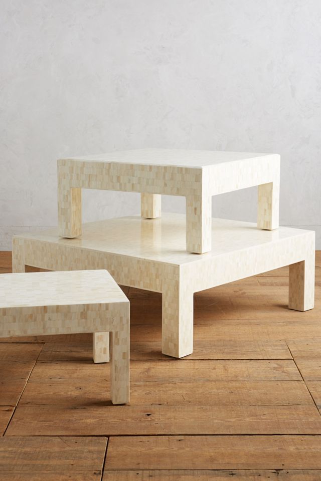 Mosaic Bone Coffee Table #1