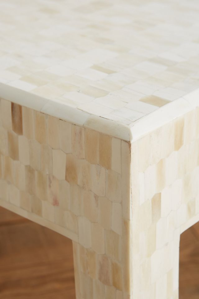 Mosaic Bone Coffee Table #4