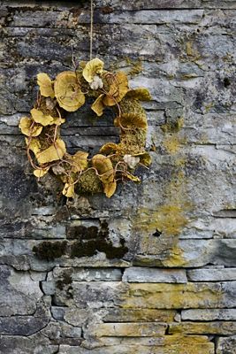 Wreath Shelf Mushroom