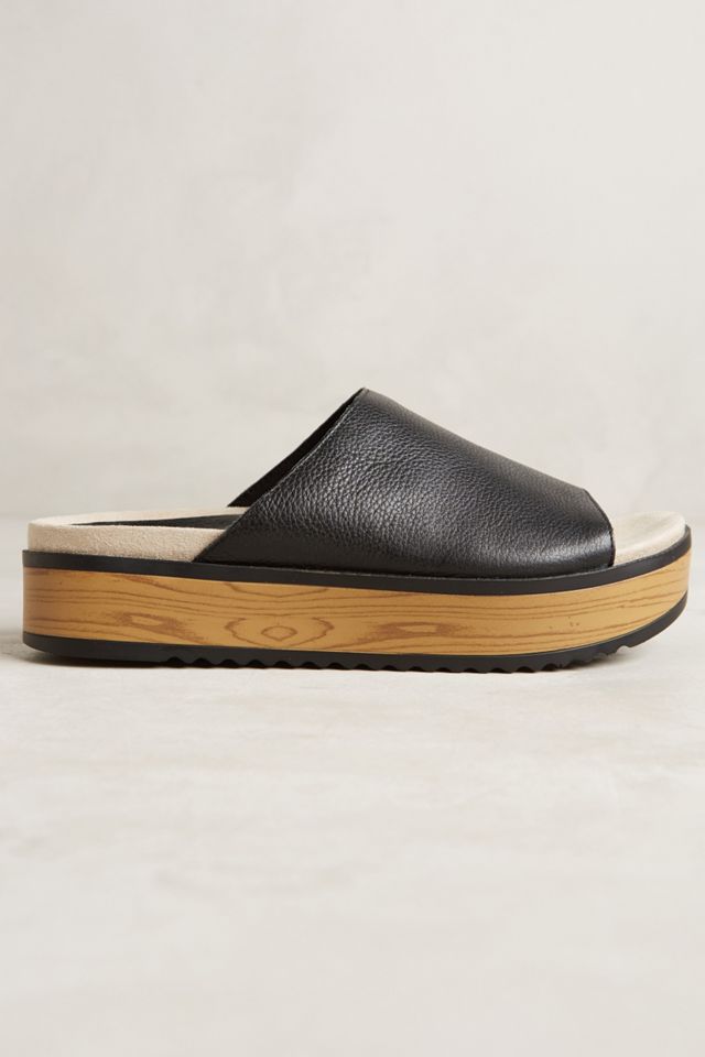 Naya Ursa Slides #1