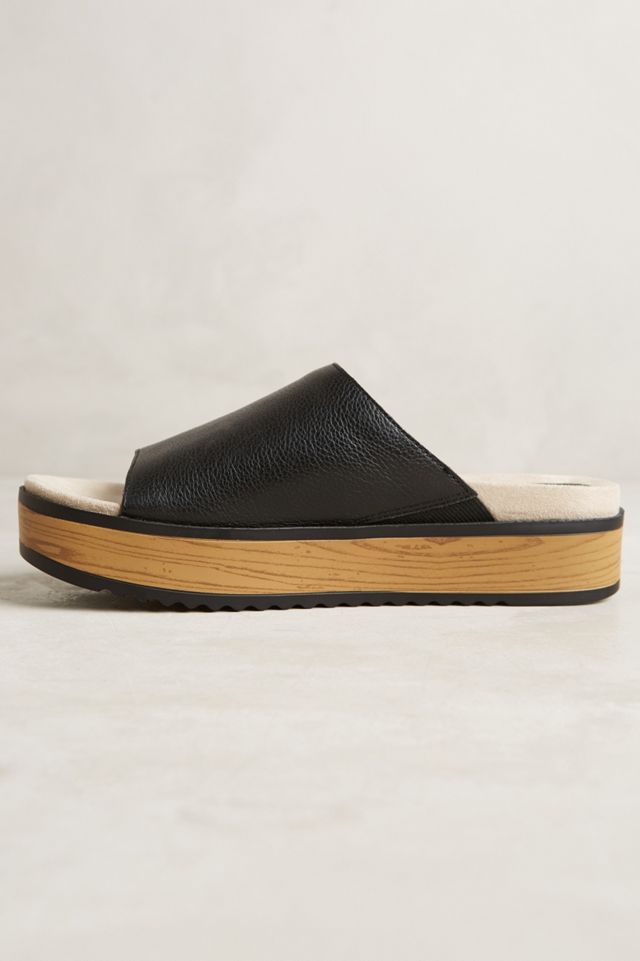 Naya Ursa Slides #2