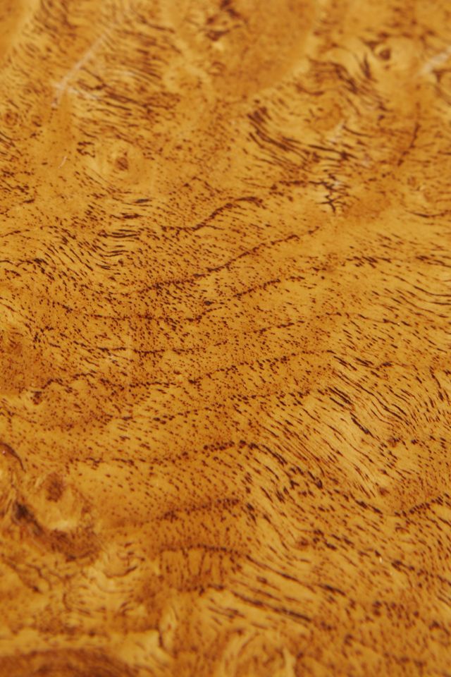 Burl Darby Side Table #2