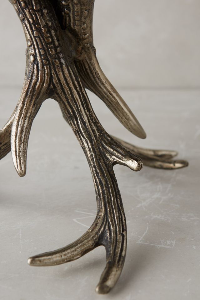 Antlered Pedestal #4