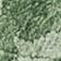 Moss