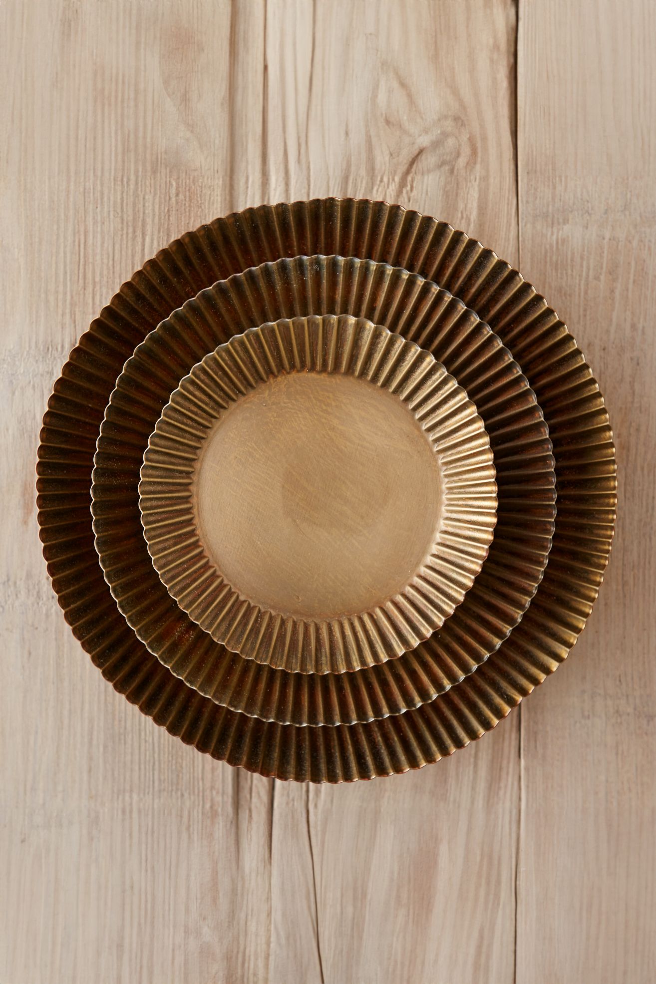 Habit & Form Tart Plant Tray, Brass - Dark Yellow, Standard, 7"
