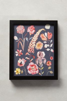 Flora Spectrum Wall Art