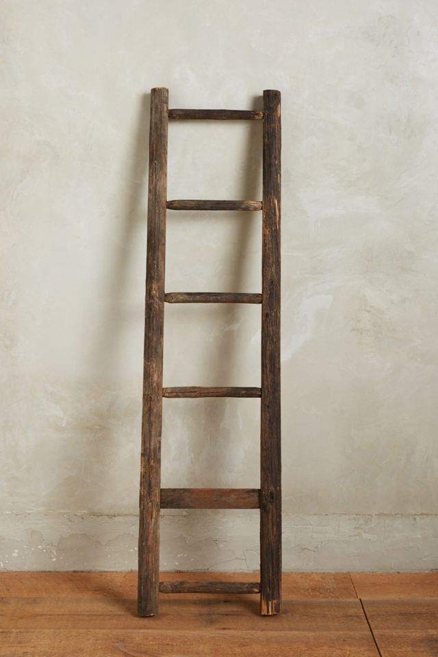 Vintage Apple-Picking Ladder #1