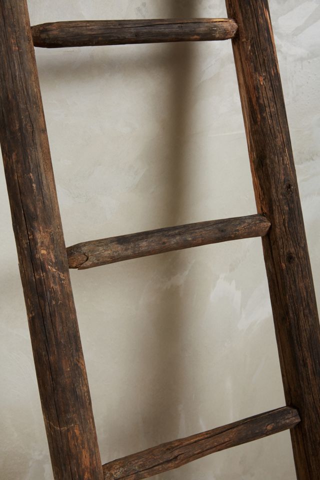 Vintage Apple-Picking Ladder #2