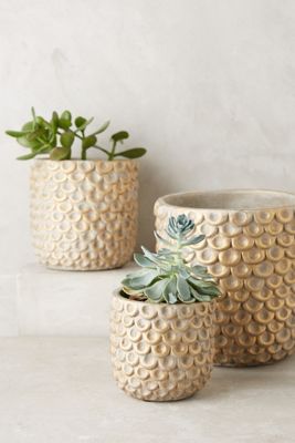 Gilded Scalloped Pot
