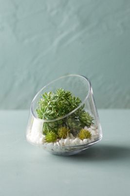 Angled Edge Terrarium-lrg