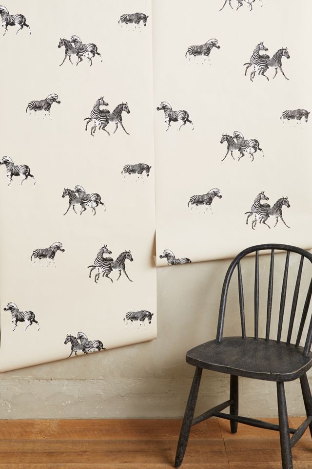 Cavorting Zebras Wallpaper #1