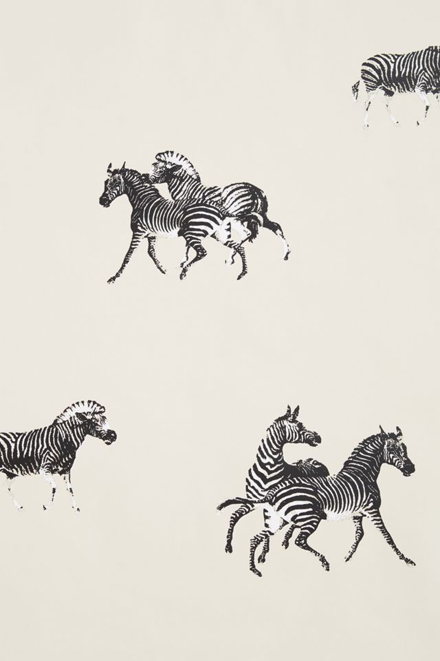 Cavorting Zebras Wallpaper #2