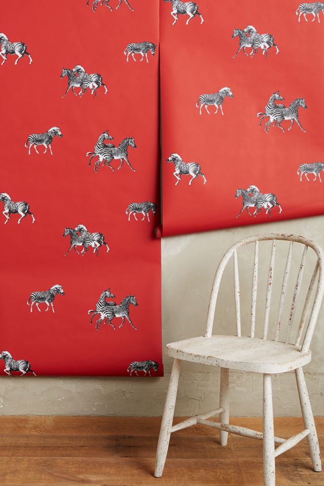 Cavorting Zebras Wallpaper #1