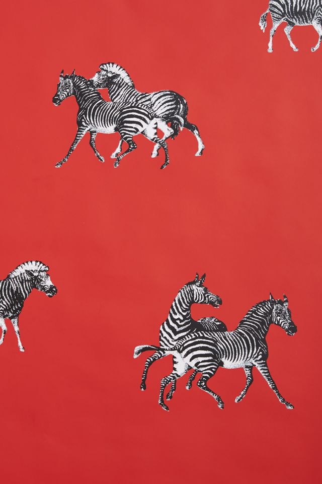 Cavorting Zebras Wallpaper #2