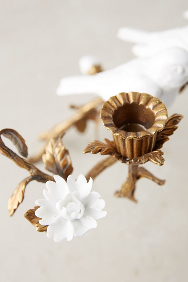 Arbor Perch Candelabra #1