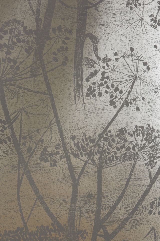 Queen Anne's Lace Wallpaper #2