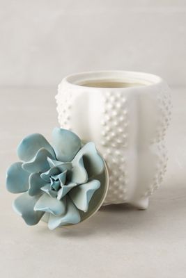 Succulent Candle