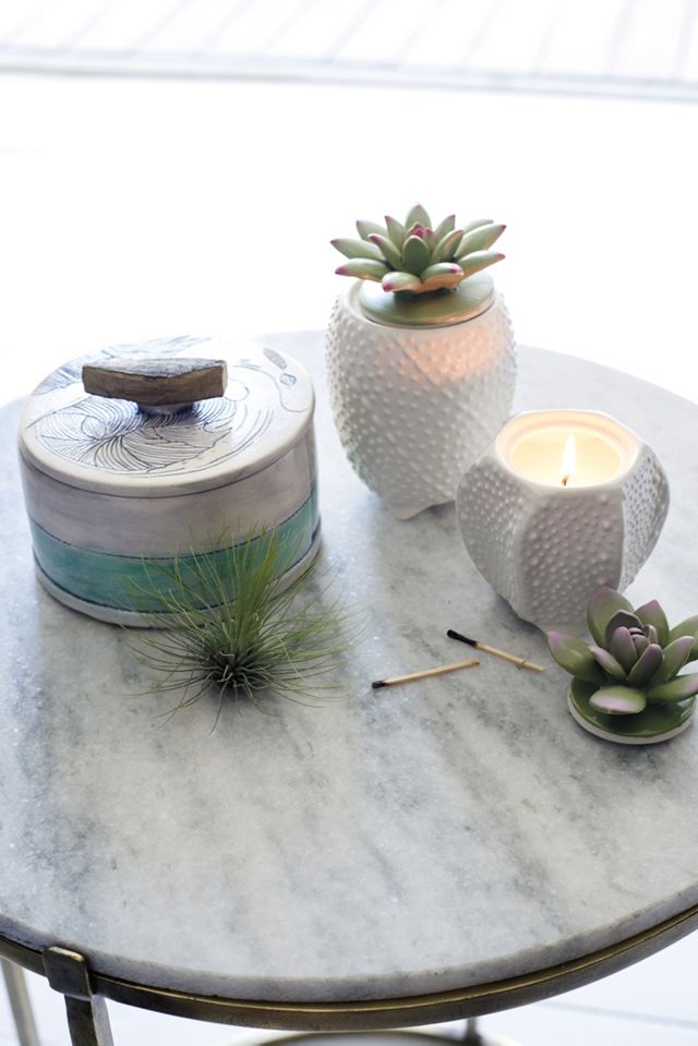 Succulent Candle #2