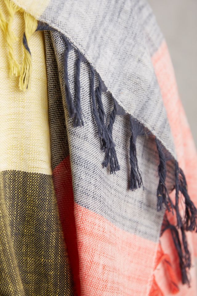 Brushed Colorblock Throw #1