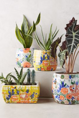 Tuileries Herb Pot