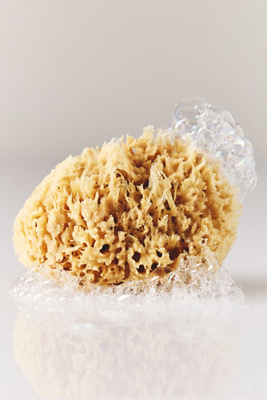 Large Wool Sponge